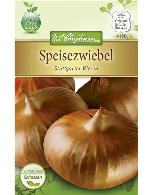 Zwiebelsamen 'Stuttgarter Riesen'