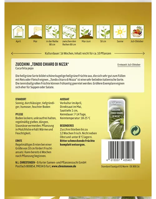 Zucchinisamen 'Tondo chiaro di Nizza'