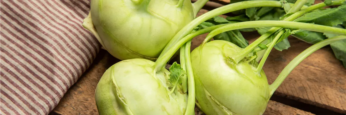 Kohlrabi