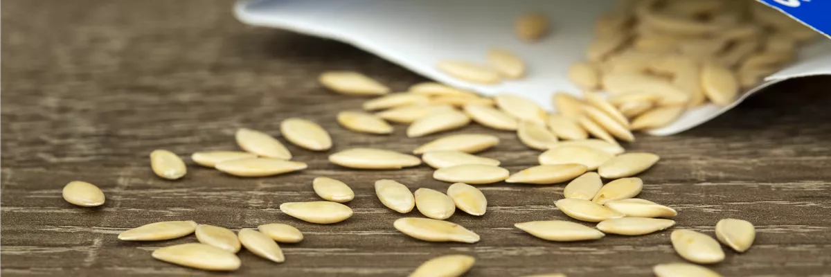 Gurkensamen mit Verpackung