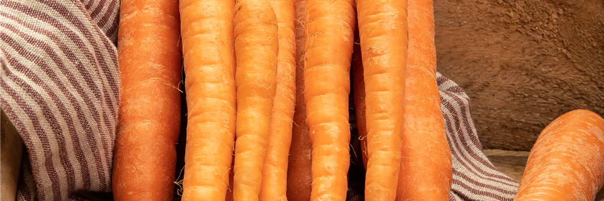 Karotten 