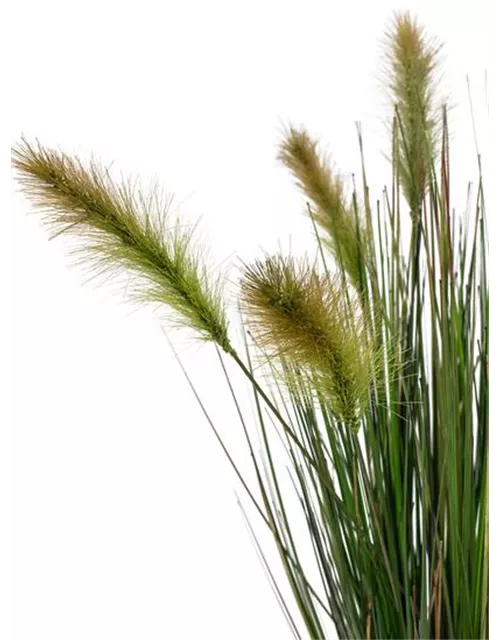 FOXTAIL GRAS Kunstpflanze von fleur ami