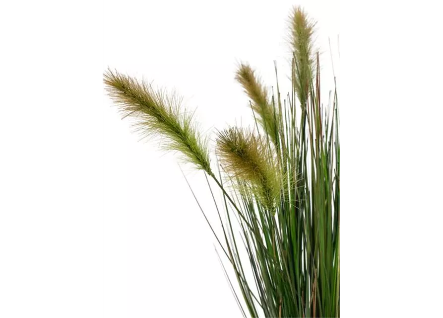 FOXTAIL GRAS Kunstpflanze von fleur ami