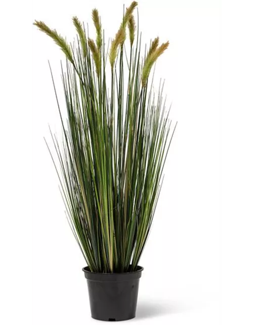 FOXTAIL GRAS Kunstpflanze von fleur ami