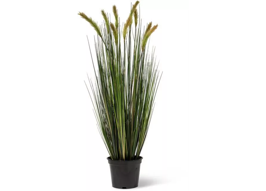 FOXTAIL GRAS Kunstpflanze von fleur ami