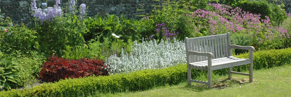 Staudenpflege im Sommer – So bleibt alles schön bunt