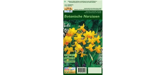 Alpenveilchenartige Garten-Narzisse 'Jetfire'