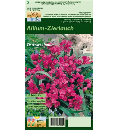 Asiatischer Berglauch