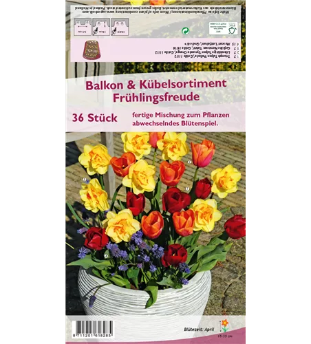 Balkon-& Kübelsortiment 'Frühlingsfreude'
