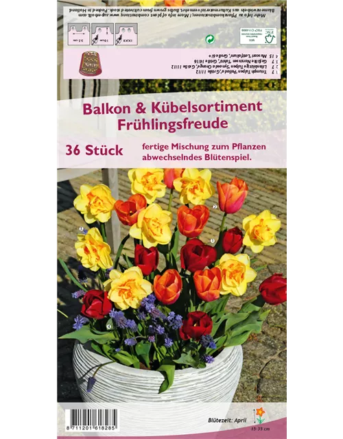 Balkon-& Kübelsortiment 'Frühlingsfreude'