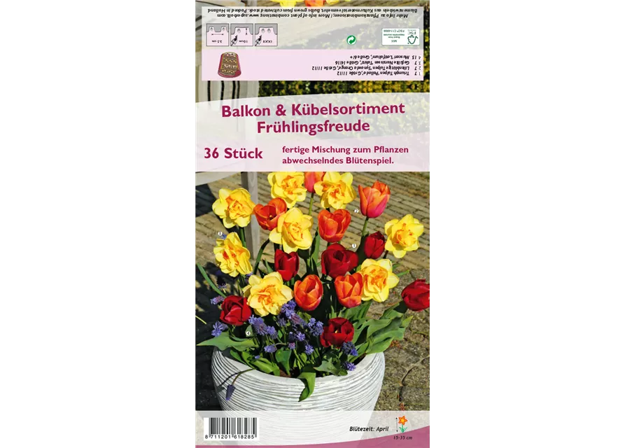 Balkon-& Kübelsortiment 'Frühlingsfreude'