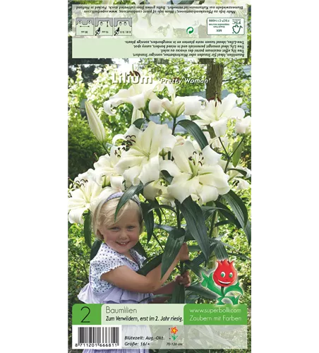 Baumlilie 'Pretty Woman'
