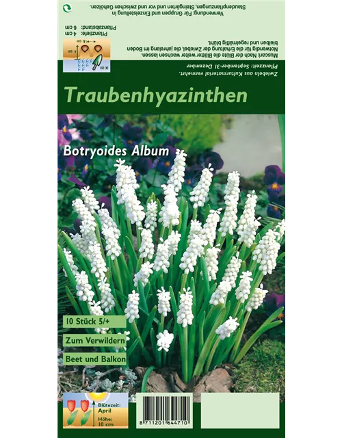 Blumenzwiebel Set 'White Print'