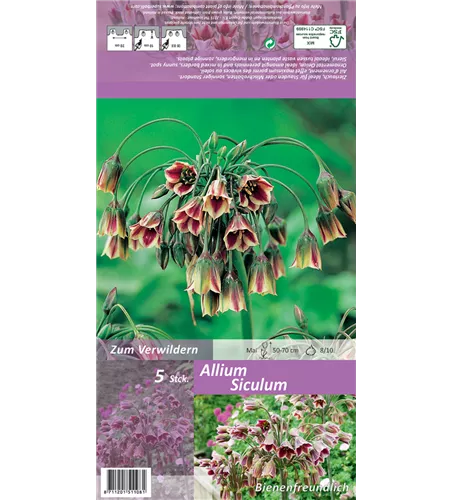 Bulgarischer Honiglauch