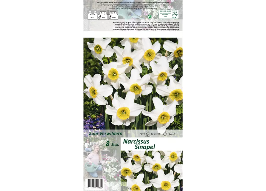 Dichter-Narzisse 'Sinopel'