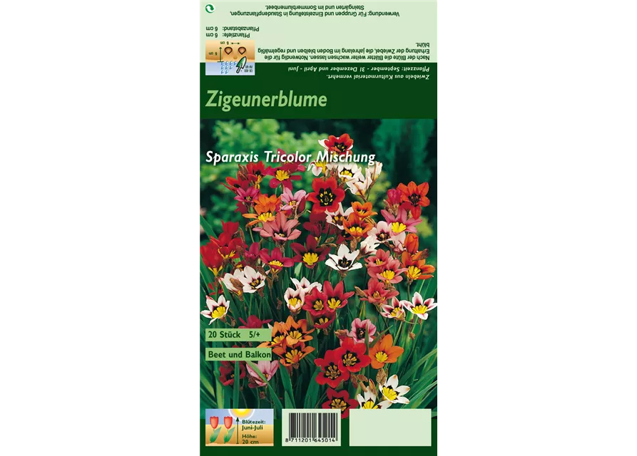 Dreifarbiges Fransenschwertel