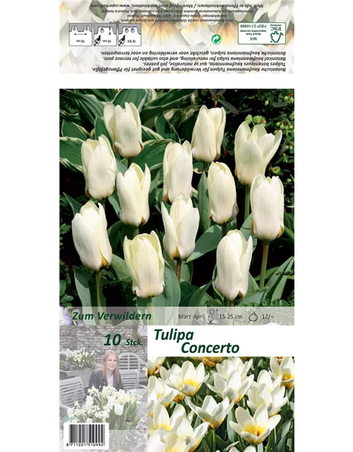 Blumenzwiebel Set 'White Print'