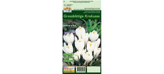 Frühlings-Krokus 'Jeanne d´Arc'