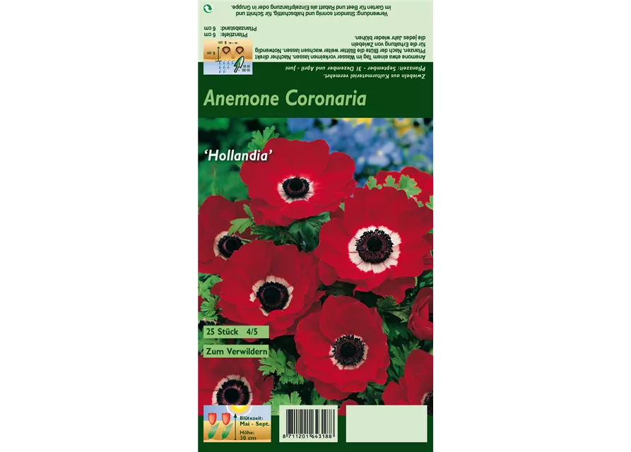 Blumenzwiebel Set 'Red Passion'