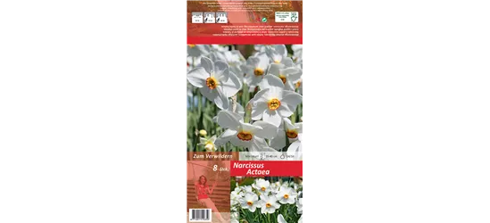 Garten-Dichter-Narzisse 'Actaea'