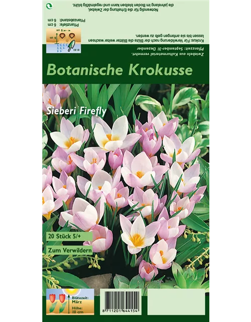 Blumenzwiebel Set 'Rosarotes Meer'