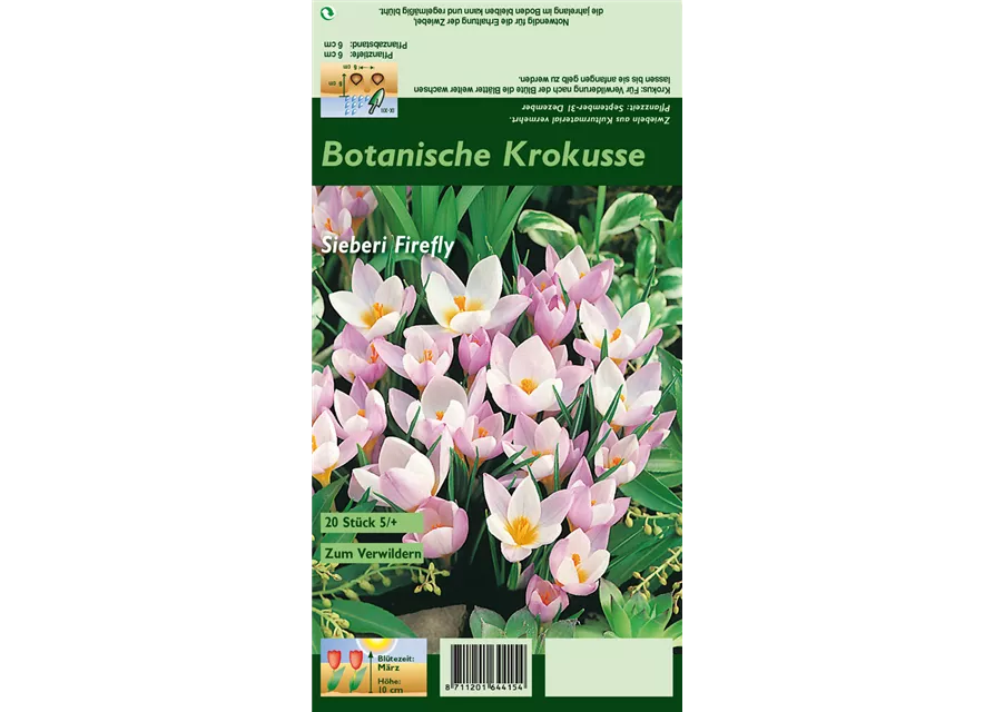 Blumenzwiebel Set 'Rosarotes Meer'