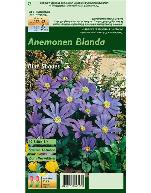 Blumenzwiebel Set 'Wild Colors'