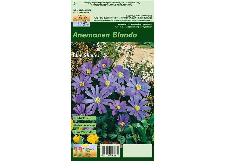 Blumenzwiebel Set 'Wild Colors'