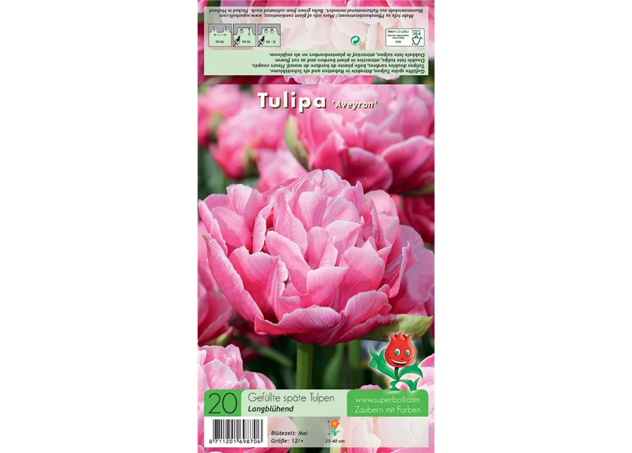 Gefüllte frühe Tulpe 'Aveyron'