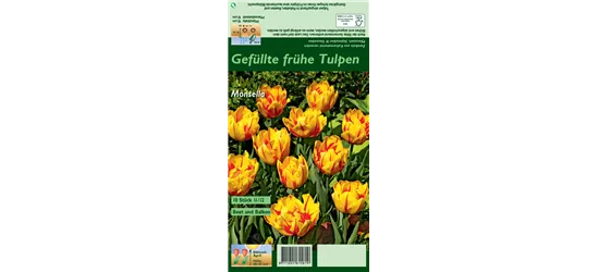 Gefüllte frühe Tulpe 'Monsella'