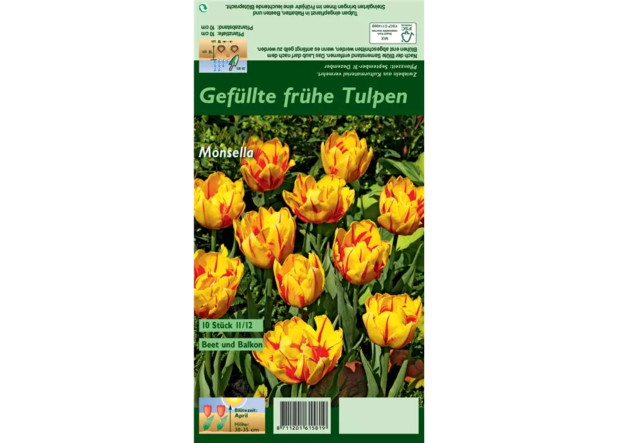 Gefüllte frühe Tulpe 'Monsella'