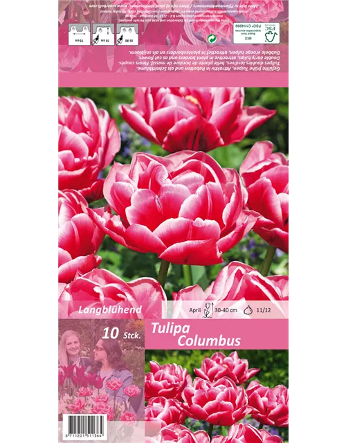 Gefüllte Tulpe 'Columbus'