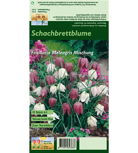 Gewöhnliche Schachblume