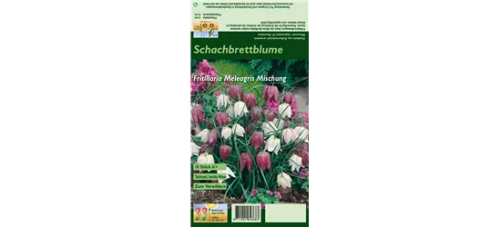Gewöhnliche Schachblume