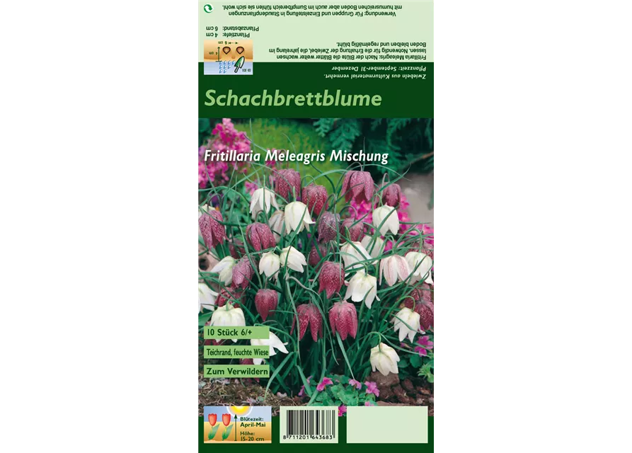 Gewöhnliche Schachblume