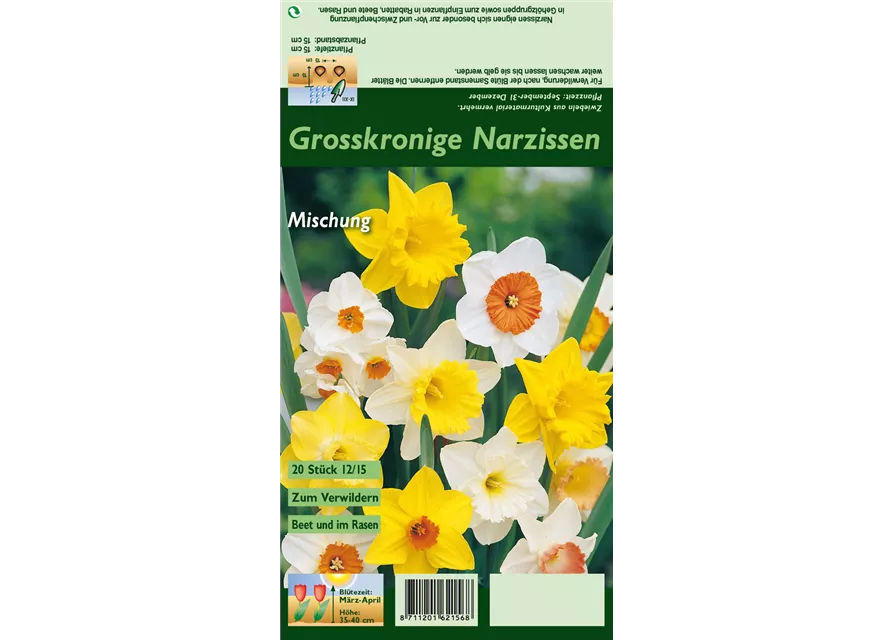 Großkronige Narzisse