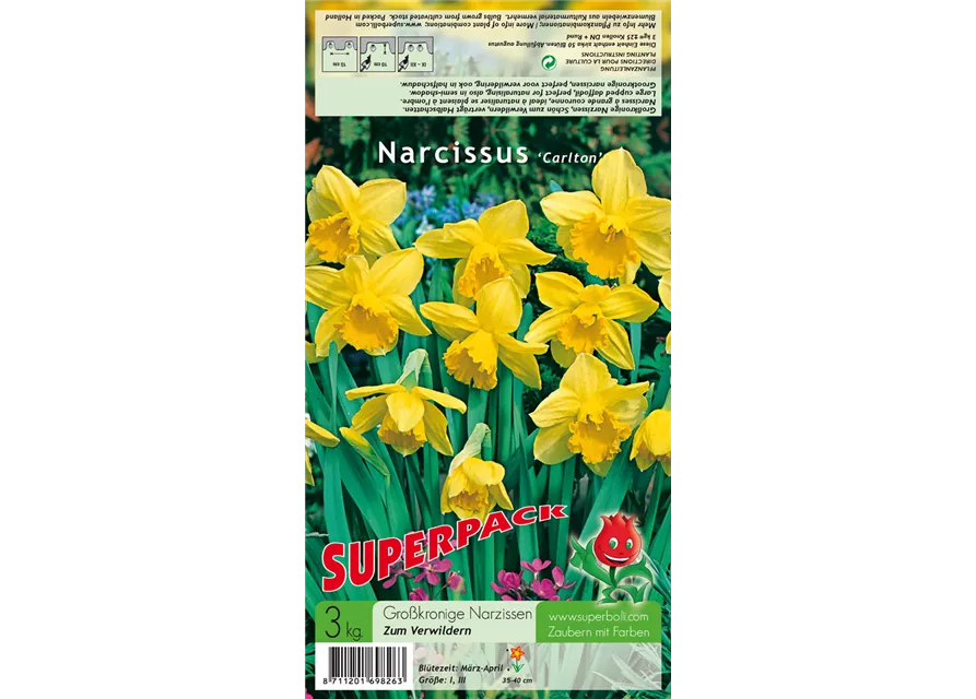 Großkronige Narzisse 'Carlton'