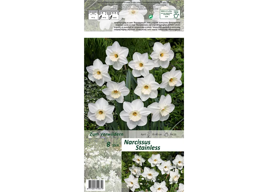 Großkronige Narzisse 'Stainless'