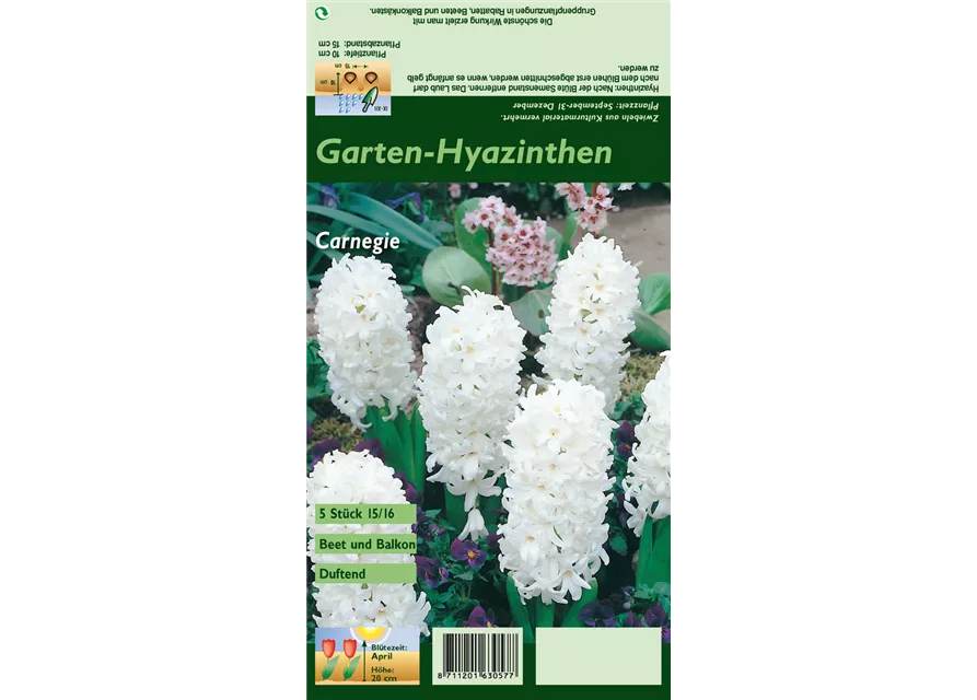 Blumenzwiebel Set 'Weißes Wunderland'