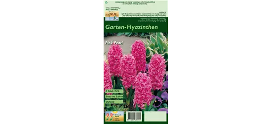 Hyazinthe 'Pink Pearl'