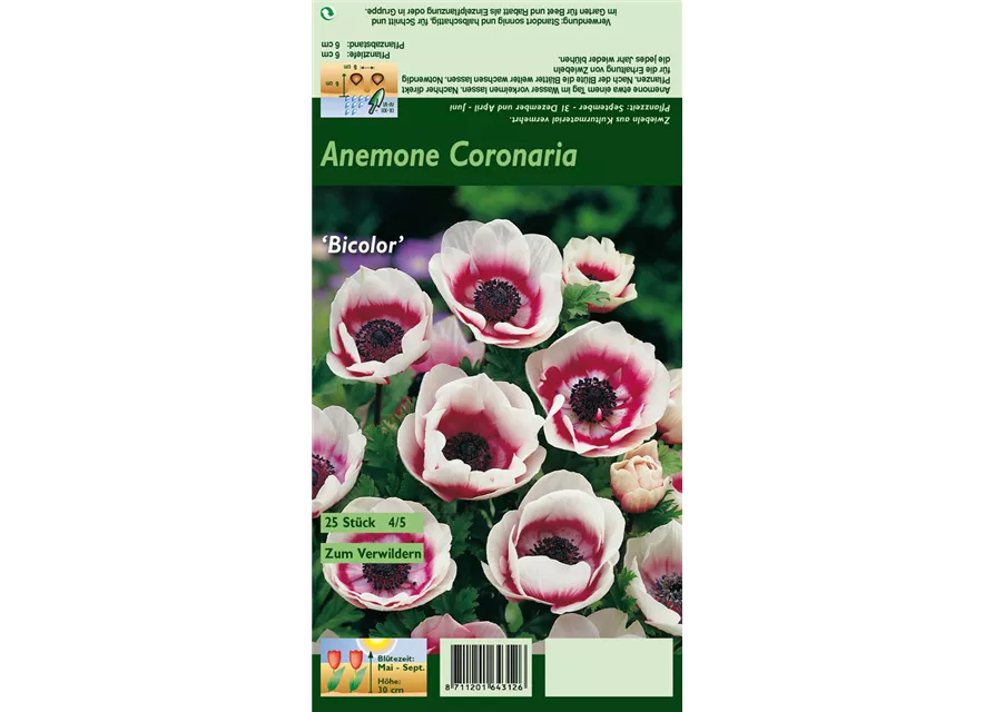Blumenzwiebel Set 'Wild Colors'
