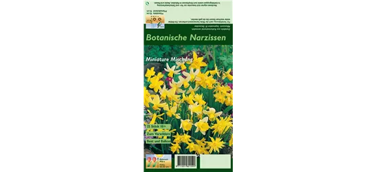 Narzisse 'Botanische Mischung'