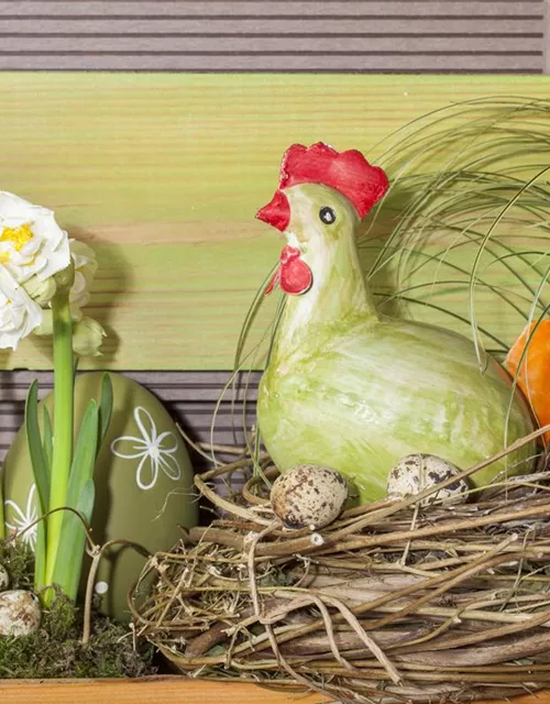 Narzisse 'Bridal Crown'