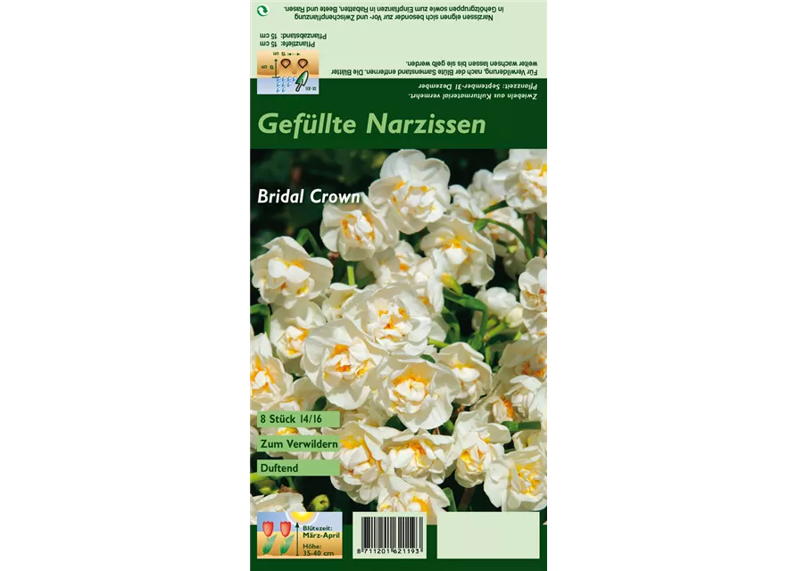Narzisse 'Bridal Crown'