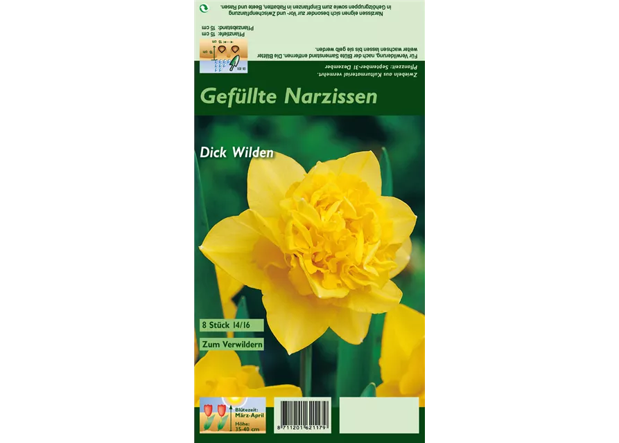 Narzisse 'Dick Wilden'