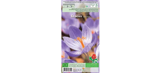 Pracht-Herbst-Krokus