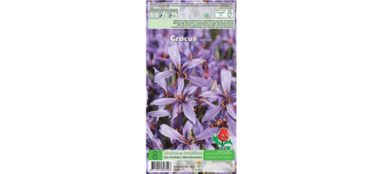 Safran-Krokus