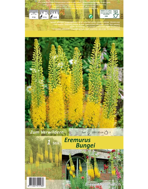 Blumenzwiebel Set 'Yellow Destiny'