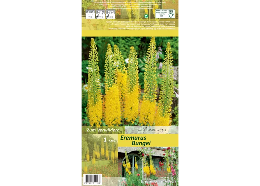 Blumenzwiebel Set 'Yellow Destiny'