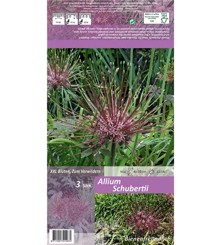 Schuberts Zier-Lauch